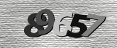 Immagine di protezione