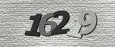 Immagine di protezione